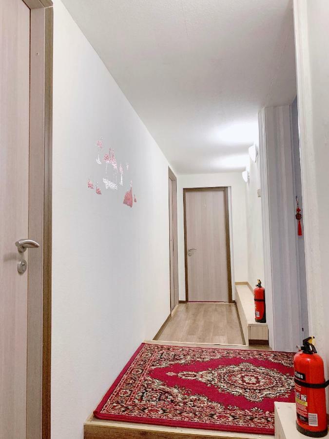 Budapest Three Cats Hostel المظهر الخارجي الصورة